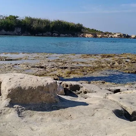 Di Angela Scotellaro Palmariggi