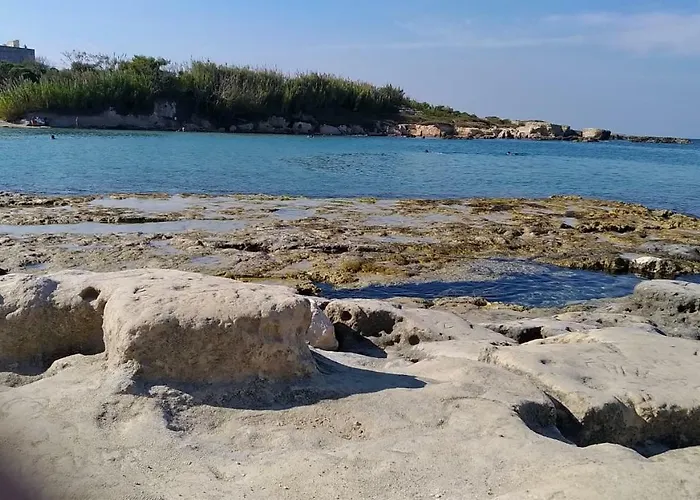 Di Angela Scotellaro Palmariggi